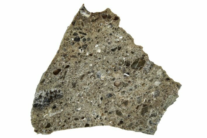 Polished Lunar Meteorite ( g) Slice - Oued el Hamim #301204